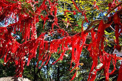 《巫师：重制版》将删除原作过时糟糕部分：不许歧视女性